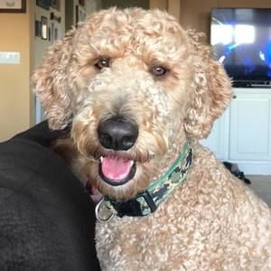 Meet your Posher, Wendi